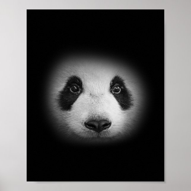 Póster Panda Cara De Oso Para Los Amantes De Los Animales (Frente)