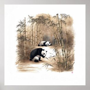 Póster Panda Comiendo Bambú - Imágenes de archivo