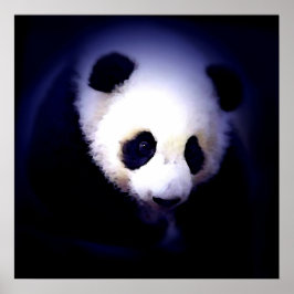 Poster Panda Face - Impresiones de Posters Panda