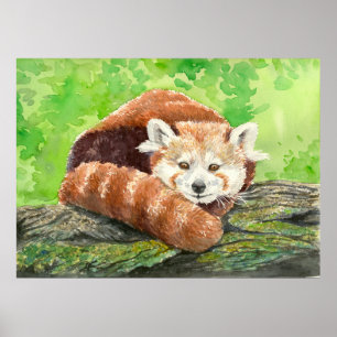 Póster Panda rojo