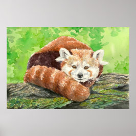 Póster Panda rojo