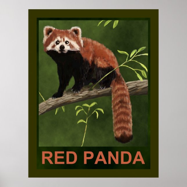 Póster Panda rojo (Frente)