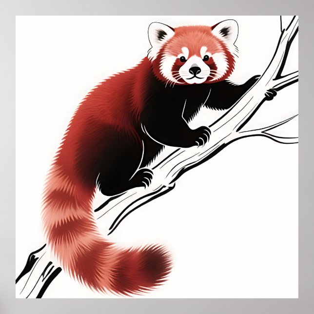 Póster Panda Rojo Posado en una Rama (Frente)