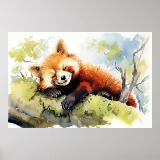 Póster Panda Rojo Relajándose En Un Jardín De Diversión A (Frente)