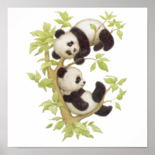 Póster Pandas jugando en un árbol