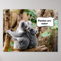 Pandas o Koalas - ¿Cuáles son más atractivos?