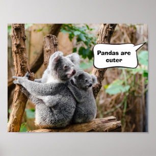 Póster Pandas o Koalas - ¿Cuáles son más atractivos?