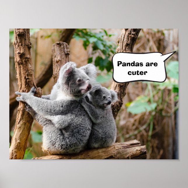 Póster Pandas o Koalas - ¿Cuáles son más atractivos? (Frente)
