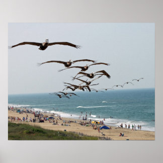 Póster Pandilla de pájaros Pelican volando sobre la playa