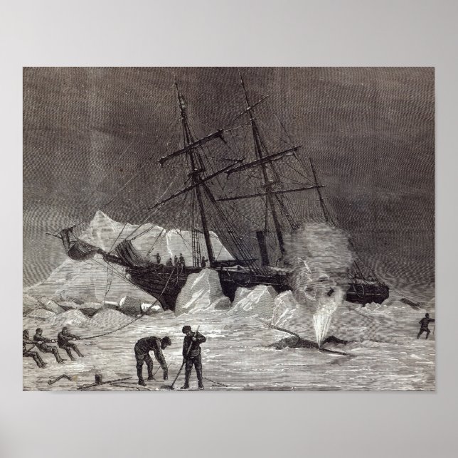 Póster Pandora' cortada en el hielo (Frente)