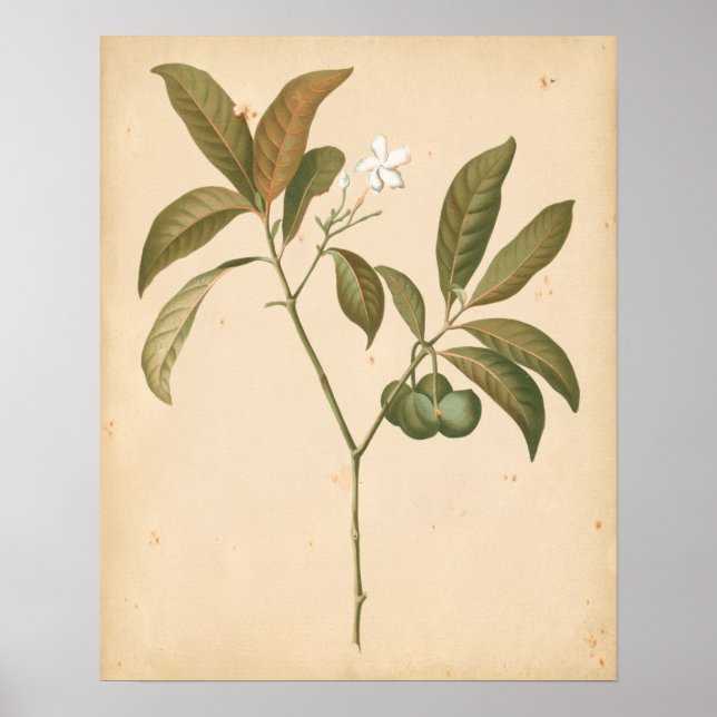 Póster Panel de deco de cobalto I (Frente)