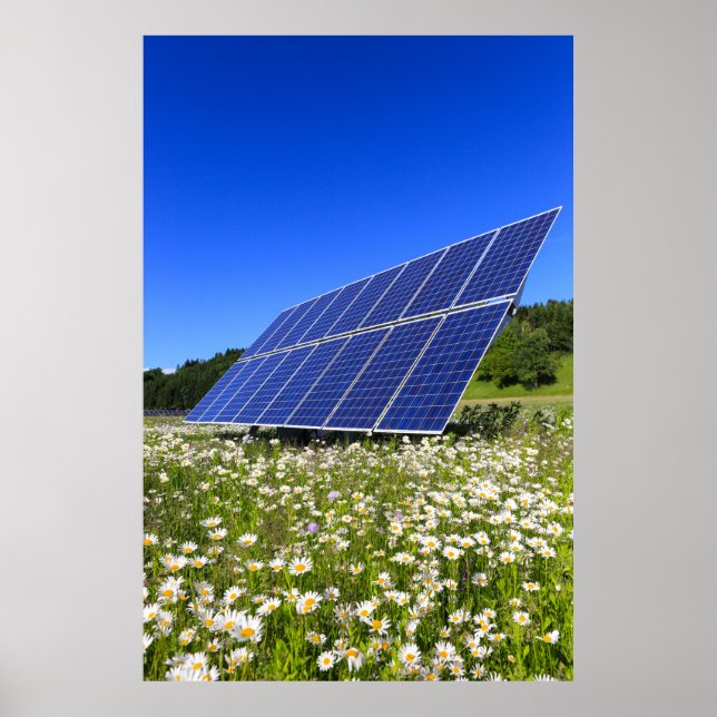 Póster Paneles solares Green Meadow Sustainable Energy (Frente)