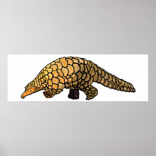 Póster Pangolin