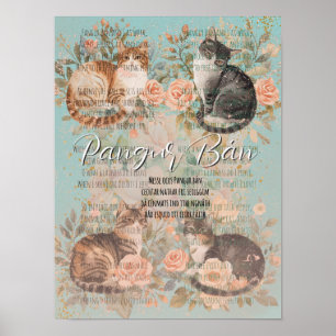 Póster Pangur Bán Gatos de Jardín de Campo de Rosas Flora