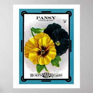 Póster Panorama