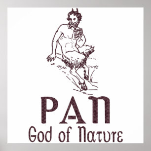 Póster Panorama