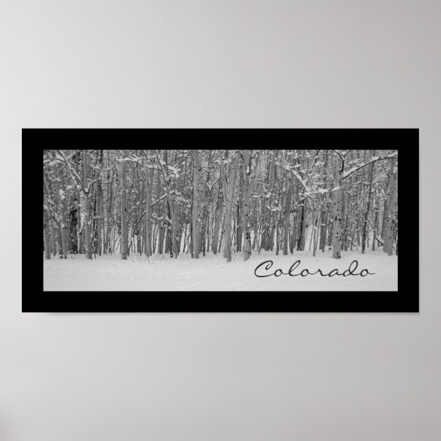 Póster Panorama de árbol de Aspen (Frente)