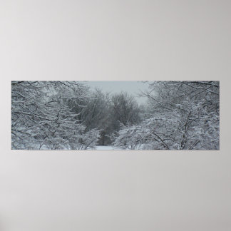 Póster Panorama de invierno