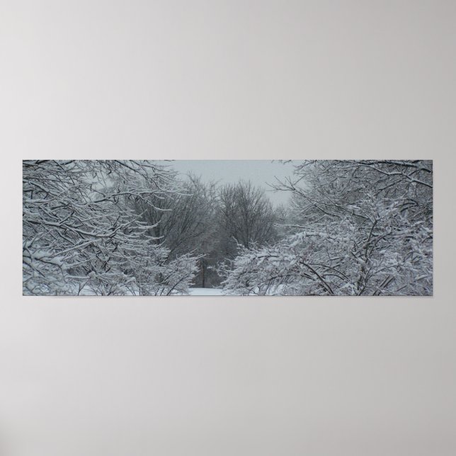 Póster Panorama de invierno (Frente)