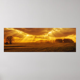 Póster Panorama de la puesta del sol del campo