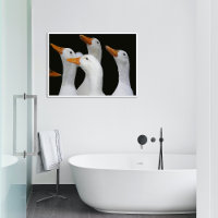 Panorama de los Patos Blancos Fotos brillante