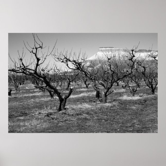Póster Panorama de primavera del Poster fotográfico blanc (Frente)