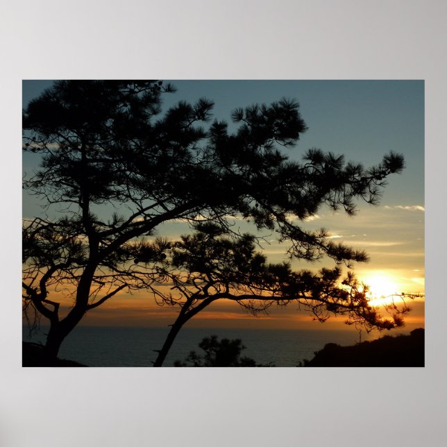 Póster Panorama de Torrey Pine Sunset (Frente)