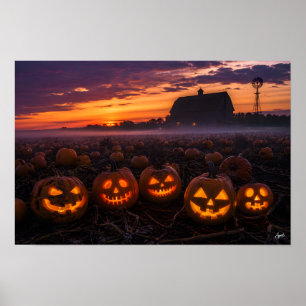 Póster Panorama del Campo de Calabazas al Anochecer