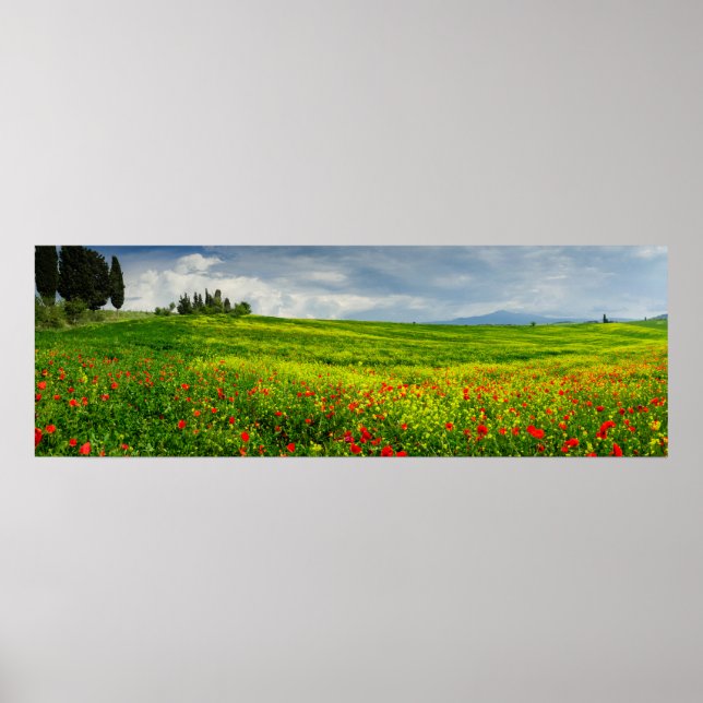 Póster Panorama del Poster paisajístico toscano (Frente)