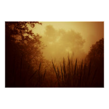 Panorama del Sol Dorado