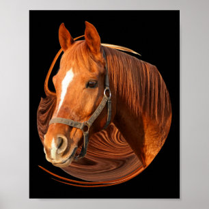 Póster Panorama gráfico de caballos de equitación - Jinet