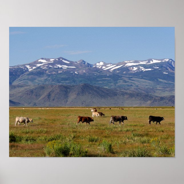 Póster Panorama HWY 395 de California (Frente)