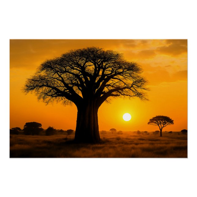 Póster Panorama zur goldenen Stunde am Baobab-Baum (Anverso)