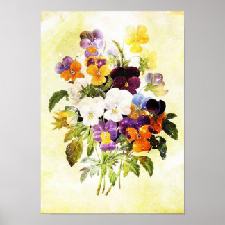 Póster Pansies