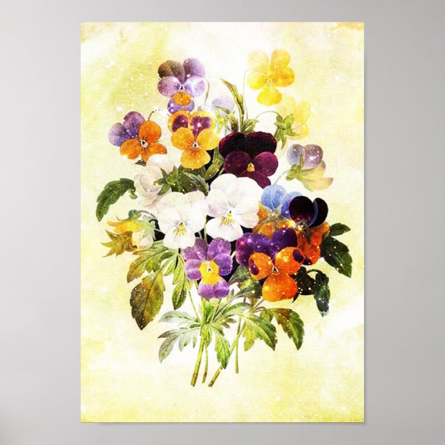 Póster Pansies (Frente)