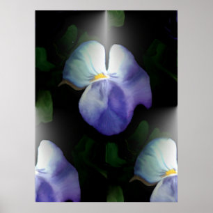 Póster Pansies