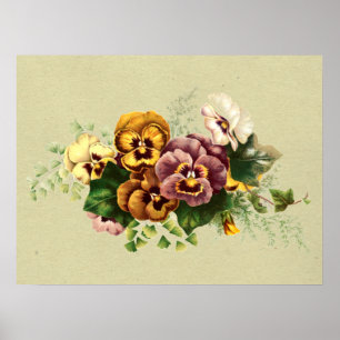 Póster Pansies de época pintados Bouquet