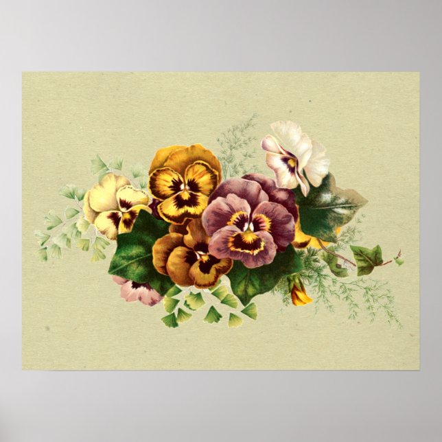 Póster Pansies de época pintados Bouquet (Frente)