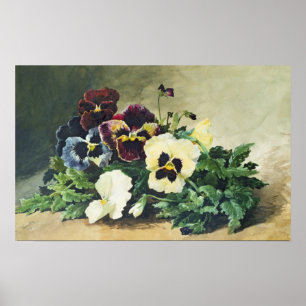 Póster Pansies de invierno, 1884