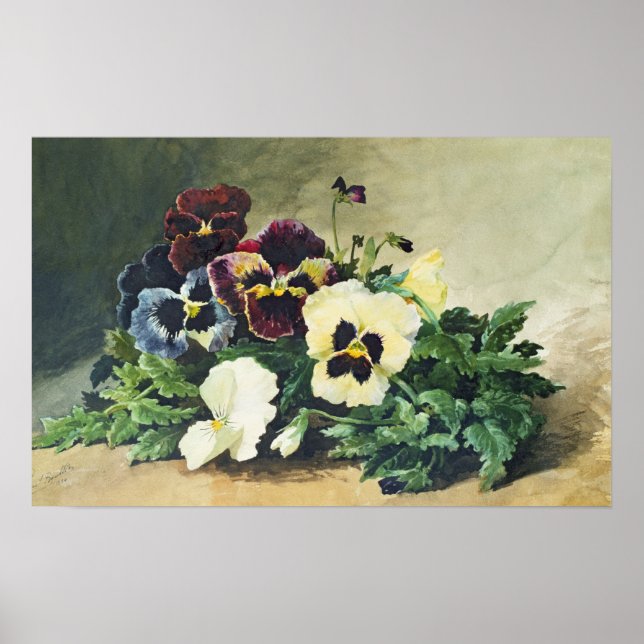 Póster Pansies de invierno, 1884 (Frente)