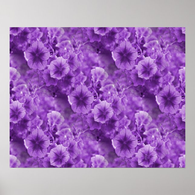 Póster Pansies morados... (Frente)