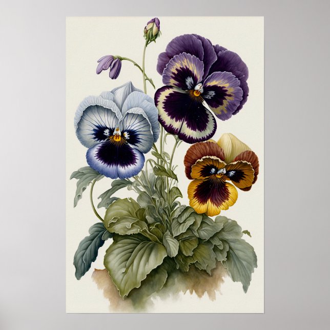 Póster Pansies Pansy Flower Art Print Poster (Frente)