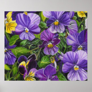 Póster Pansies, "Púrpura Pansies" de Jenny Koch