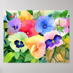 Póster Pansy Garden Print