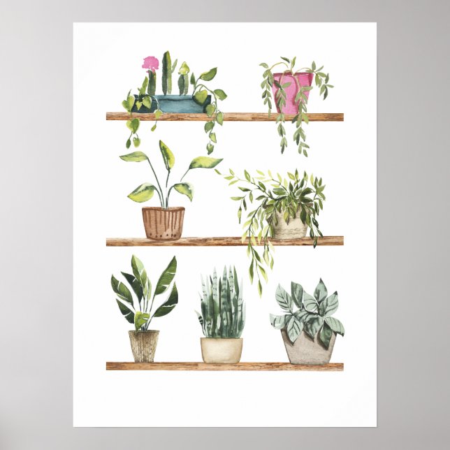 Póster Pantalla de plantas potentes (Frente)