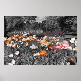 Póster Pantalla floral Ballarat Botandens Gardens