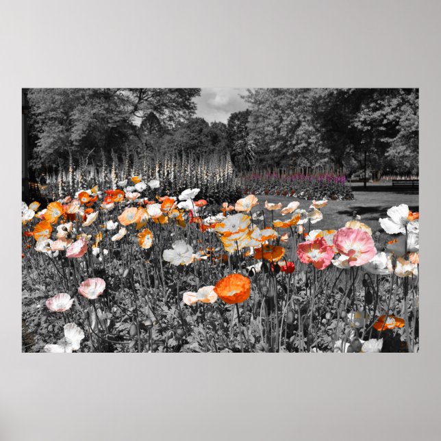 Póster Pantalla floral Ballarat Botandens Gardens (Frente)