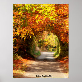 Póster Pantano Amarillo Kilcullen