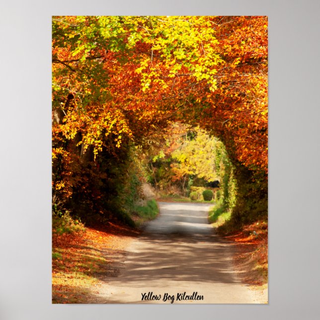 Póster Pantano Amarillo Kilcullen (Frente)