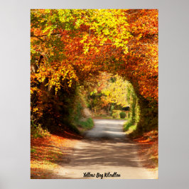 Póster Pantano Amarillo Kilcullen